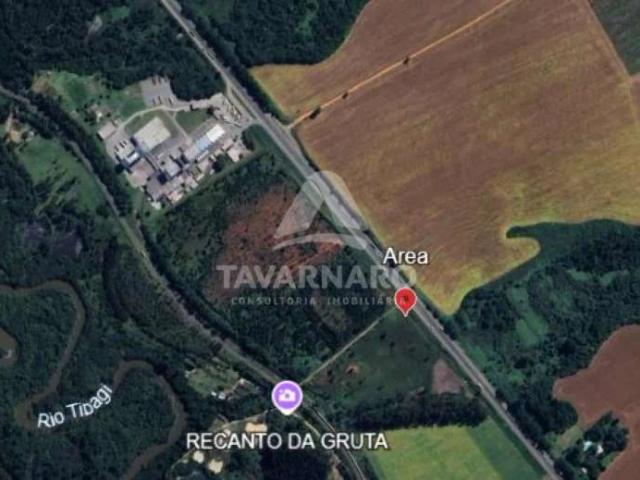 Terreno venda em Colônia Dona Luiza, Ponta Grossa