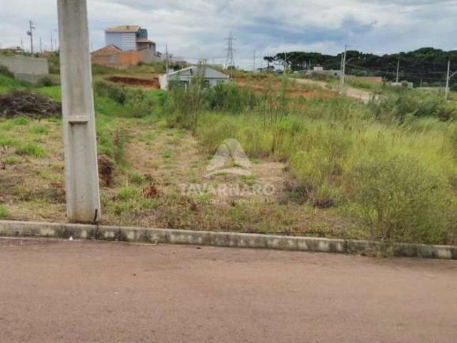 Terreno venda em Alvorada, Ponta Grossa