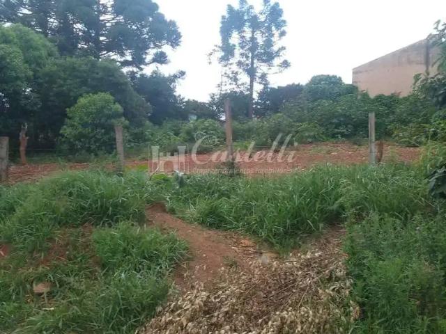 Terreno venda em Região Geográfica Imediata de Ponta Grossa, Ponta Grossa