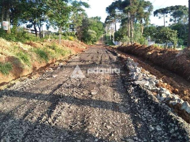 Terreno venda em Região Geográfica Imediata de Ponta Grossa, Ponta Grossa