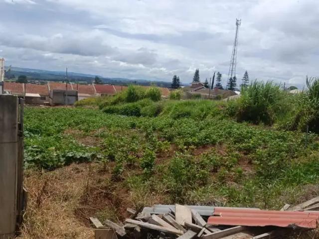 Terreno venda em Região Geográfica Imediata de Ponta Grossa, Ponta Grossa