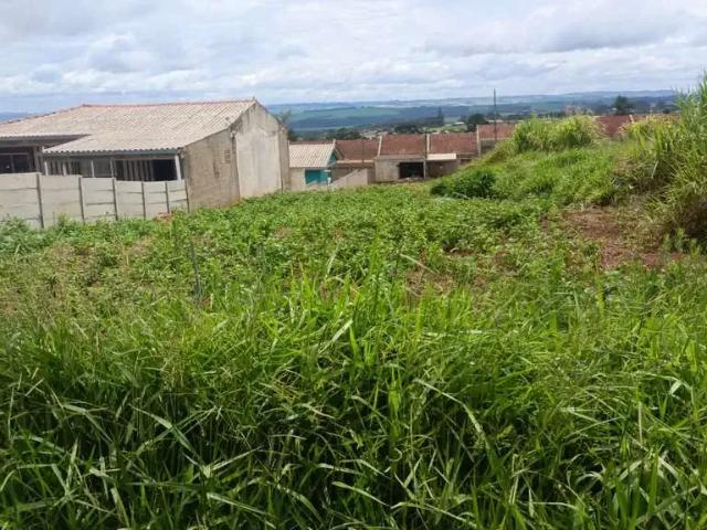 Terreno venda em Região Geográfica Imediata de Ponta Grossa, Ponta Grossa