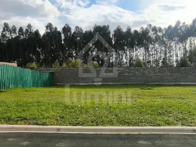 Terreno venda em Guaragi, Ponta Grossa