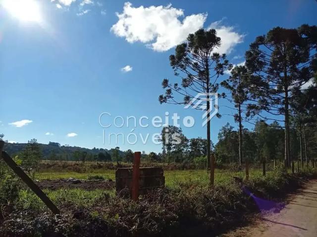 Terreno venda em Região Geográfica Imediata de Ponta Grossa, Ponta Grossa