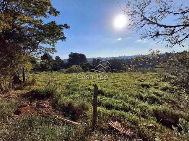 Terreno venda em Região Geográfica Imediata de Ponta Grossa, Ponta Grossa