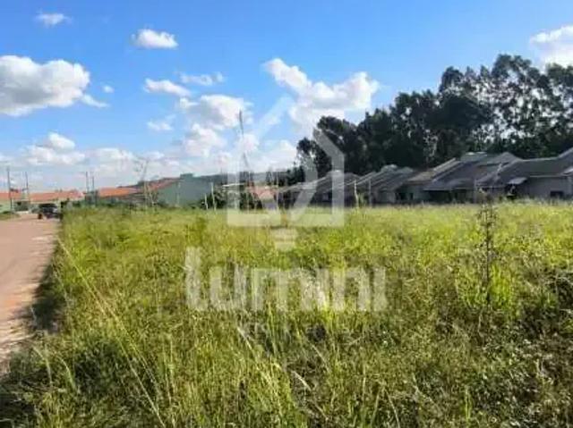 Terreno venda em Colônia Dona Luiza, Ponta Grossa
