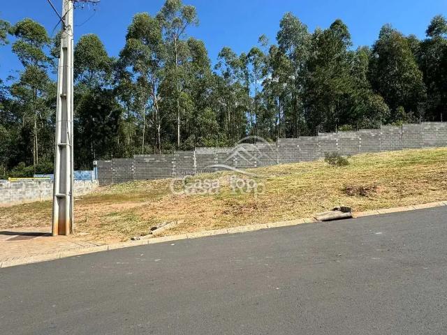 Terreno venda em Região Geográfica Imediata de Ponta Grossa, Ponta Grossa