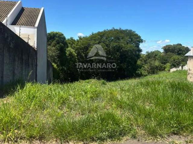 Terreno venda em Vila Estrela, Ponta Grossa