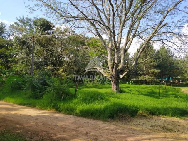 Terreno venda em Guaragi, Ponta Grossa