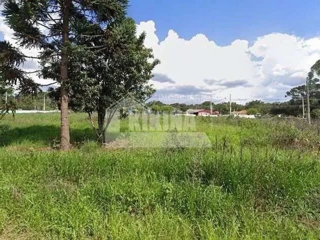 Terreno venda em Região Geográfica Imediata de Ponta Grossa, Ponta Grossa