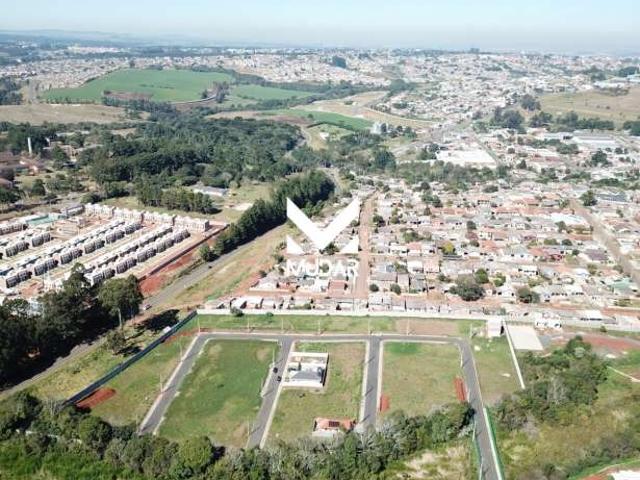 Terreno venda em Região Geográfica Imediata de Ponta Grossa, Ponta Grossa