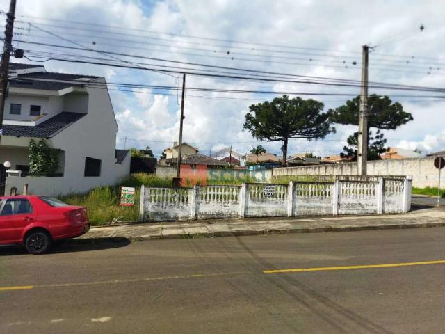 Terreno venda em Vila Esmeralda, Ponta Grossa