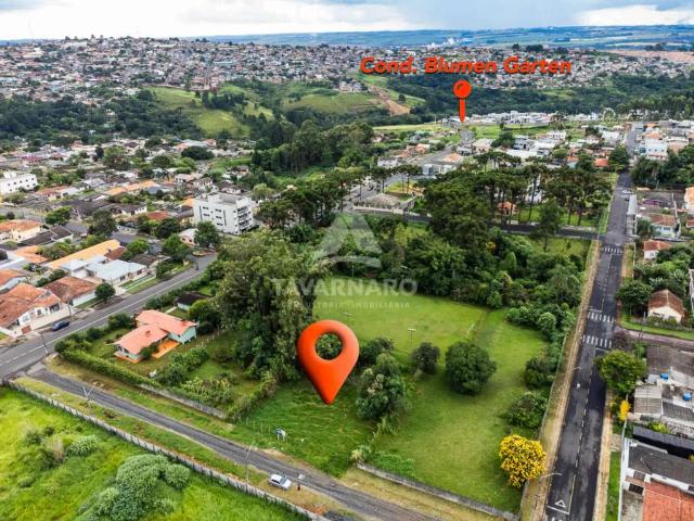Terreno venda em Vila Liane, Ponta Grossa