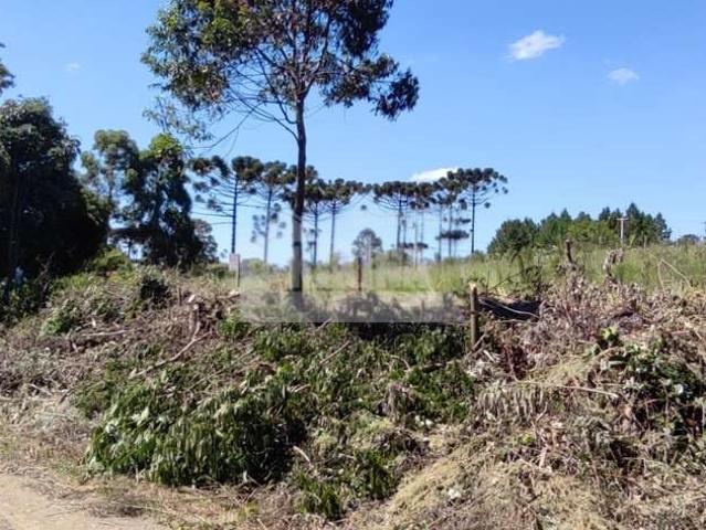 Terreno venda em Região Geográfica Imediata de Ponta Grossa, Ponta Grossa