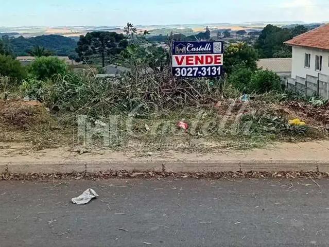 Terreno venda em Região Geográfica Imediata de Ponta Grossa, Ponta Grossa