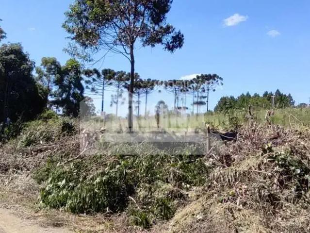 Terreno venda em Colônia Dona Luiza, Ponta Grossa