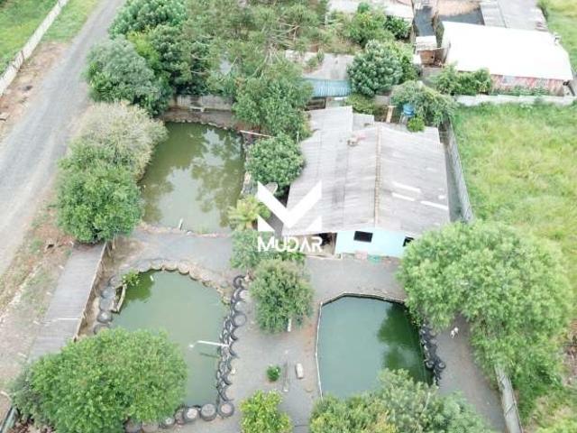 Terreno venda em Região Geográfica Imediata de Ponta Grossa, Ponta Grossa