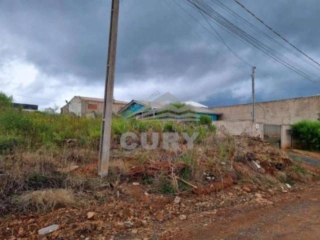 Terreno venda em Ponta Grossa, Região Geográfica Intermediária de Ponta Grossa