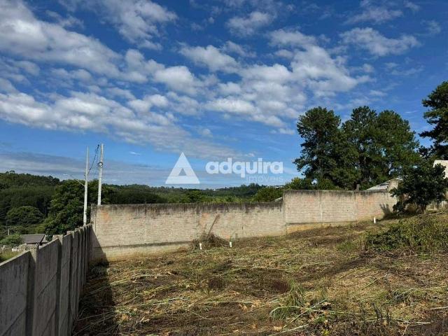 Terreno venda em Ronda, Ponta Grossa