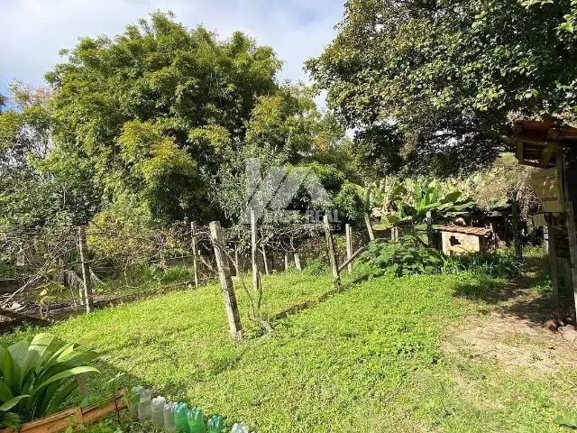 Terreno venda em Ronda, Ponta Grossa