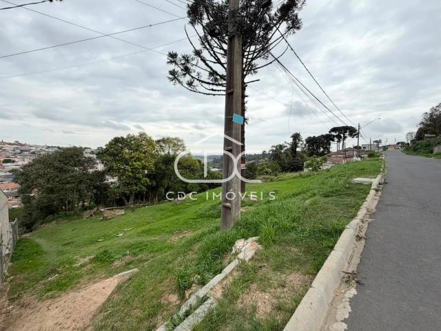 Terreno venda em Ronda, Ponta Grossa