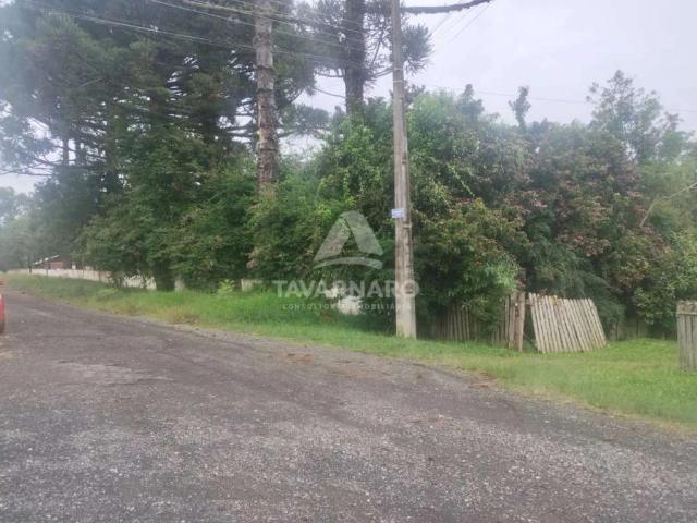 Terreno venda em Uvaranas, Ponta Grossa