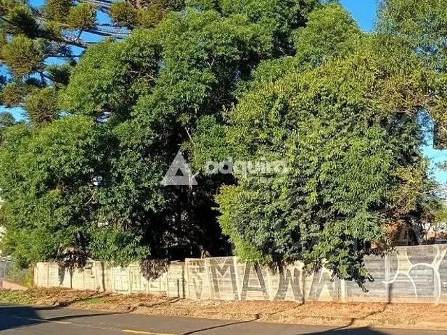 Terreno venda em Uvaranas, Ponta Grossa
