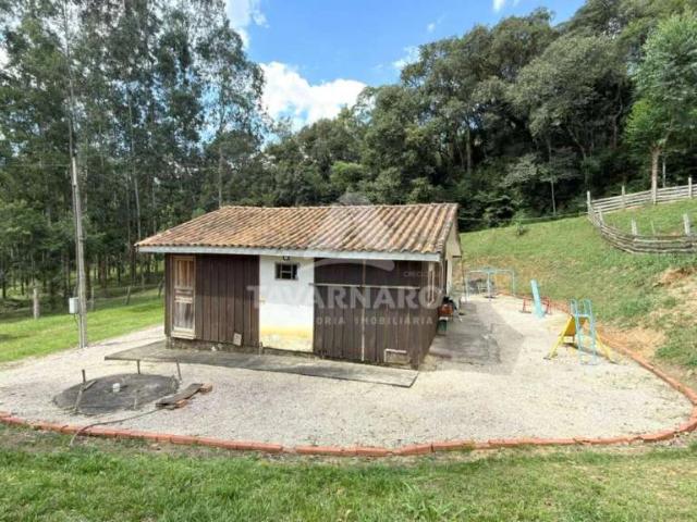 Terreno venda em Uvaranas, Ponta Grossa