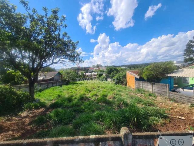 Terreno venda em Uvaranas, Ponta Grossa