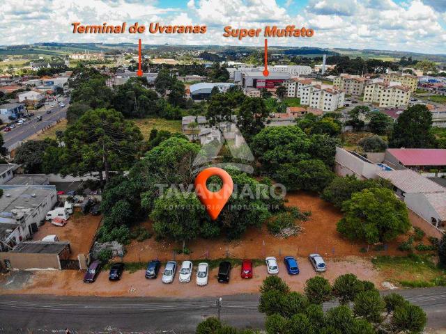 Terreno venda em Uvaranas, Ponta Grossa
