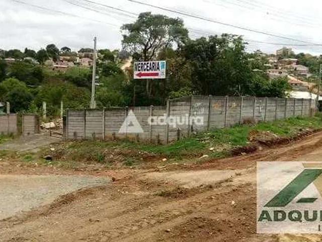 Terreno venda em Uvaranas, Ponta Grossa