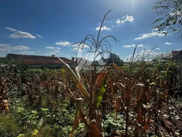 Terreno venda em Uvaranas, Ponta Grossa