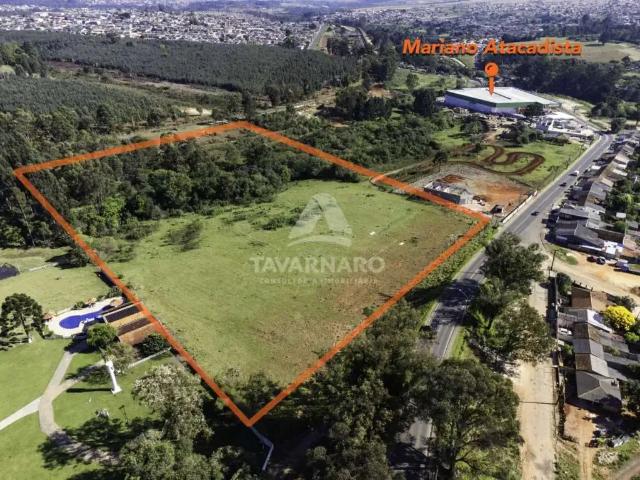 Terreno venda em Região Geográfica Imediata de Ponta Grossa, Ponta Grossa