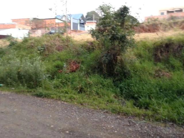 Terreno venda em Uvaranas, Ponta Grossa