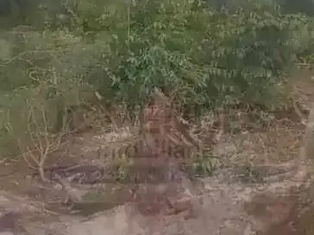 Terreno venda em Região Geográfica Imediata de Paranaguá, Guaraquecaba