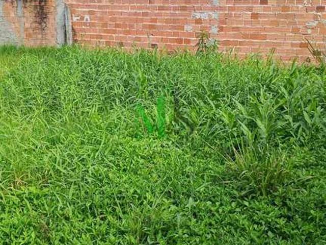 Terreno venda em Região Geográfica Imediata de Paranaguá, Guaraquecaba