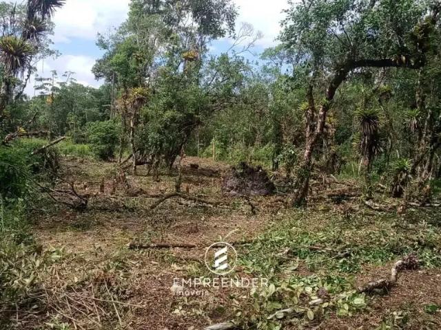 Terreno venda em Região Geográfica Imediata de Paranaguá, Guaraquecaba