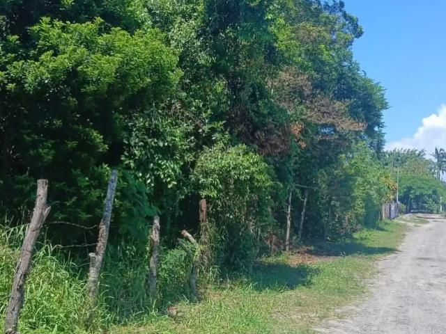 Terreno venda em Região Geográfica Imediata de Paranaguá, Guaraquecaba