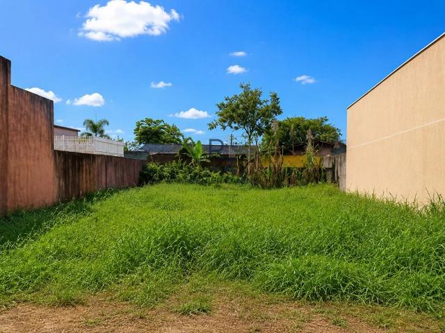 Terreno venda em Região Geográfica Imediata de Paranaguá, Guaraquecaba