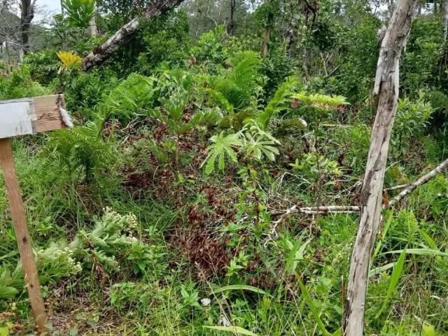 Terreno venda em Pontal do Paraná, Região Geográfica Intermediária de Curitiba