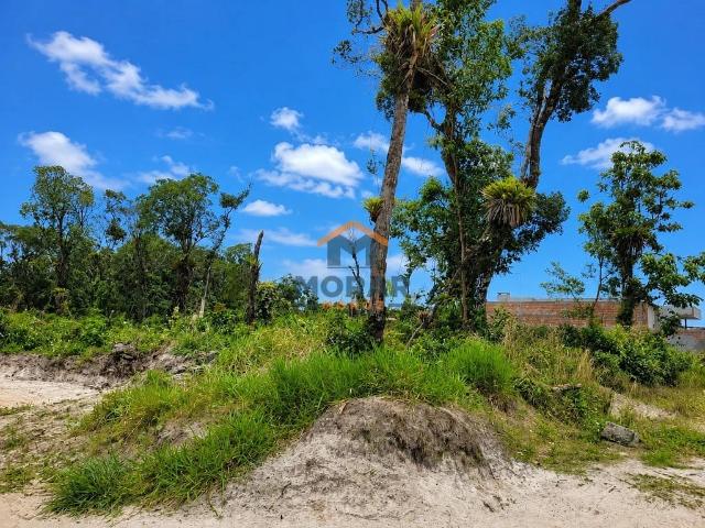 Terreno venda em Praia do Leste, Pontal do Paraná