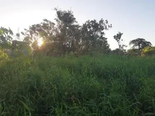 Terreno venda em Região Geográfica Imediata de Paranaguá, Guaraquecaba