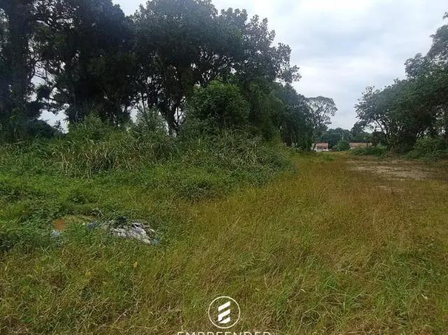 Terreno venda em Região Geográfica Imediata de Paranaguá, Guaraquecaba
