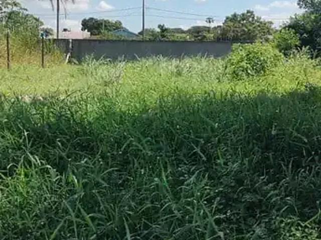 Terreno venda em Região Geográfica Imediata de Paranaguá, Guaraquecaba