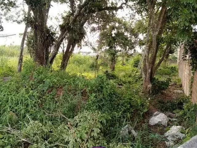 Terreno venda em Região Geográfica Imediata de Paranaguá, Guaraquecaba