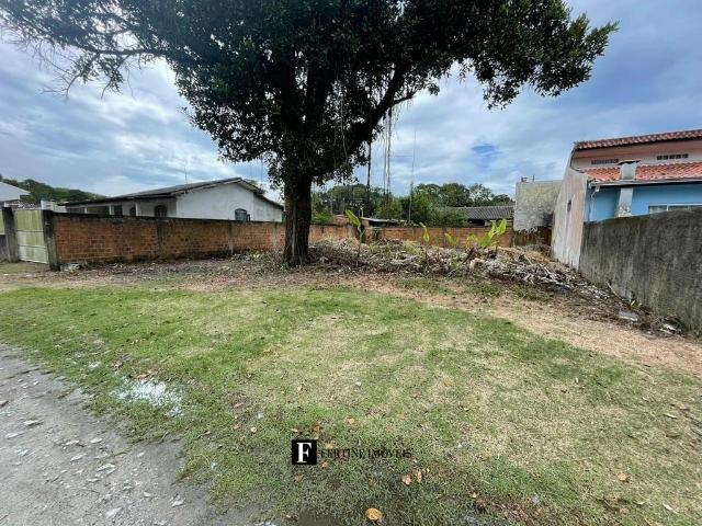 Terreno venda em Região Geográfica Imediata de Paranaguá, Guaraquecaba