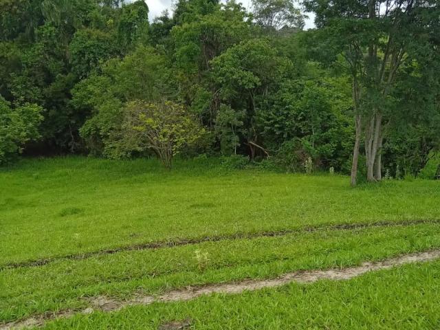 Terreno venda em Vila Piragibu, Porangaba