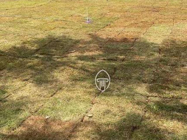 Terreno venda em Porecatu, Região Geográfica Intermediária de Londrina