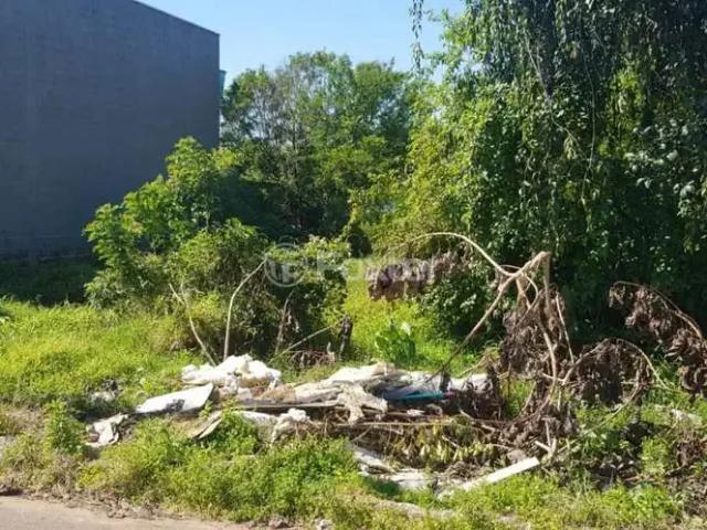 Terreno venda em Região Geográfica Imediata de Novo Hamburgo - São Leopoldo, Região Metropolitana de Porto Alegre