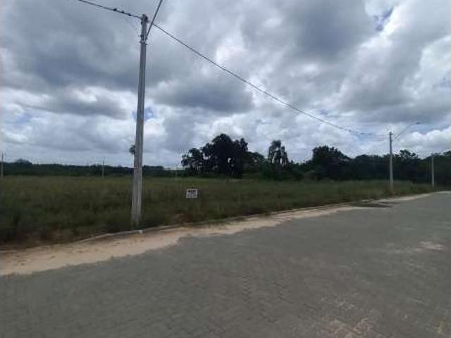Terreno venda em Região Geográfica Imediata de Novo Hamburgo - São Leopoldo, Região Metropolitana de Porto Alegre